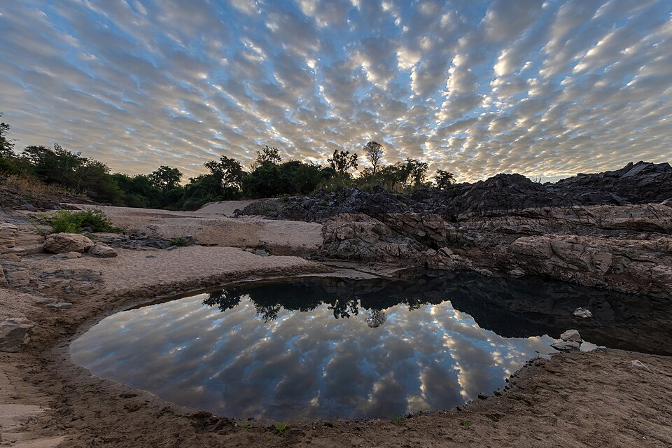 Water reflection of stringy gray and white clouds in a pond on a sand beach of Don Khon at sunrise in Laos.jpg — Basile Morin (CC BY-SA 4.0) Pantone Cloud Dancer