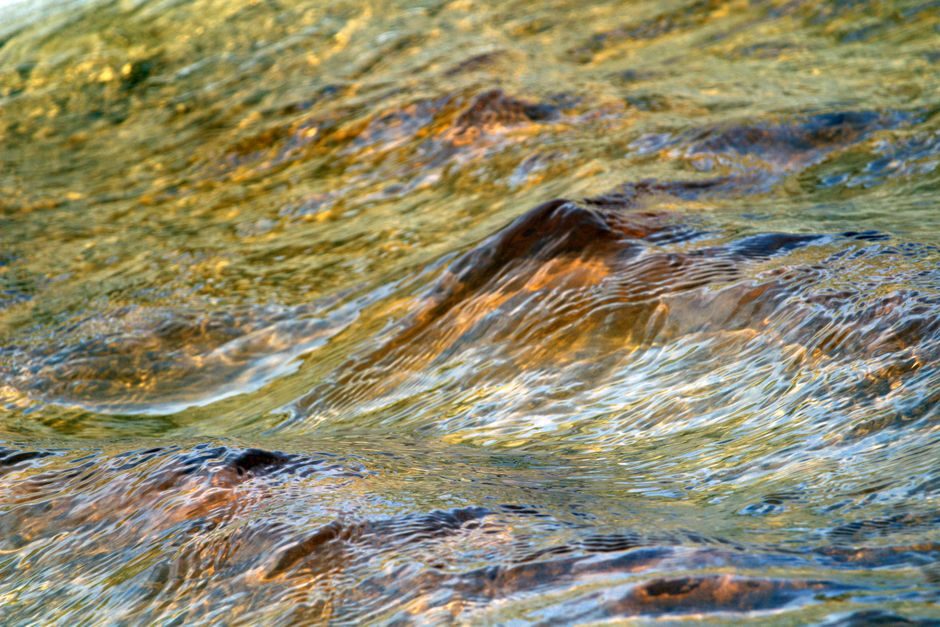 青圭 — Close-up of shimmering river water in Paraná, Brazil, capturing golden hues and natural texture.